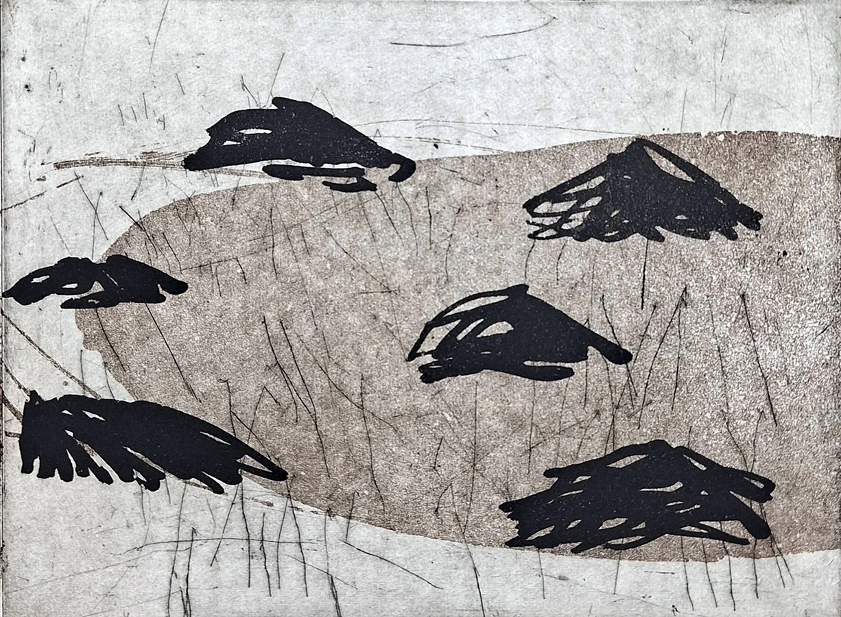 Die Strohhuegelwiese